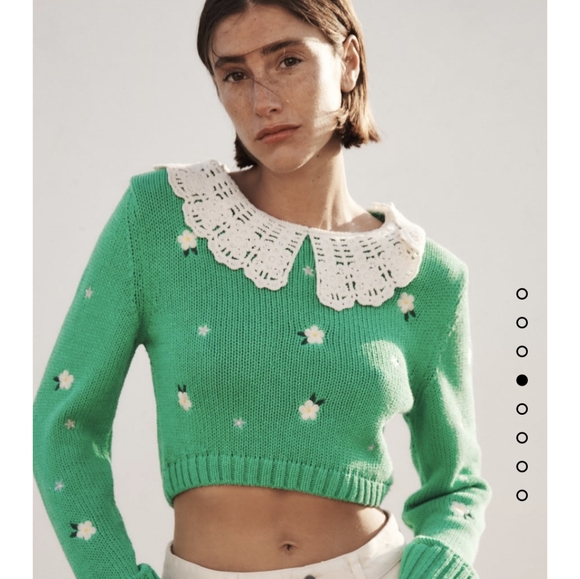 Zara Embroidered Knit Sweater - Picture 4 of 8